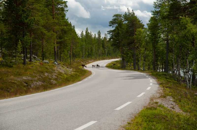 łowienie w skandynawii